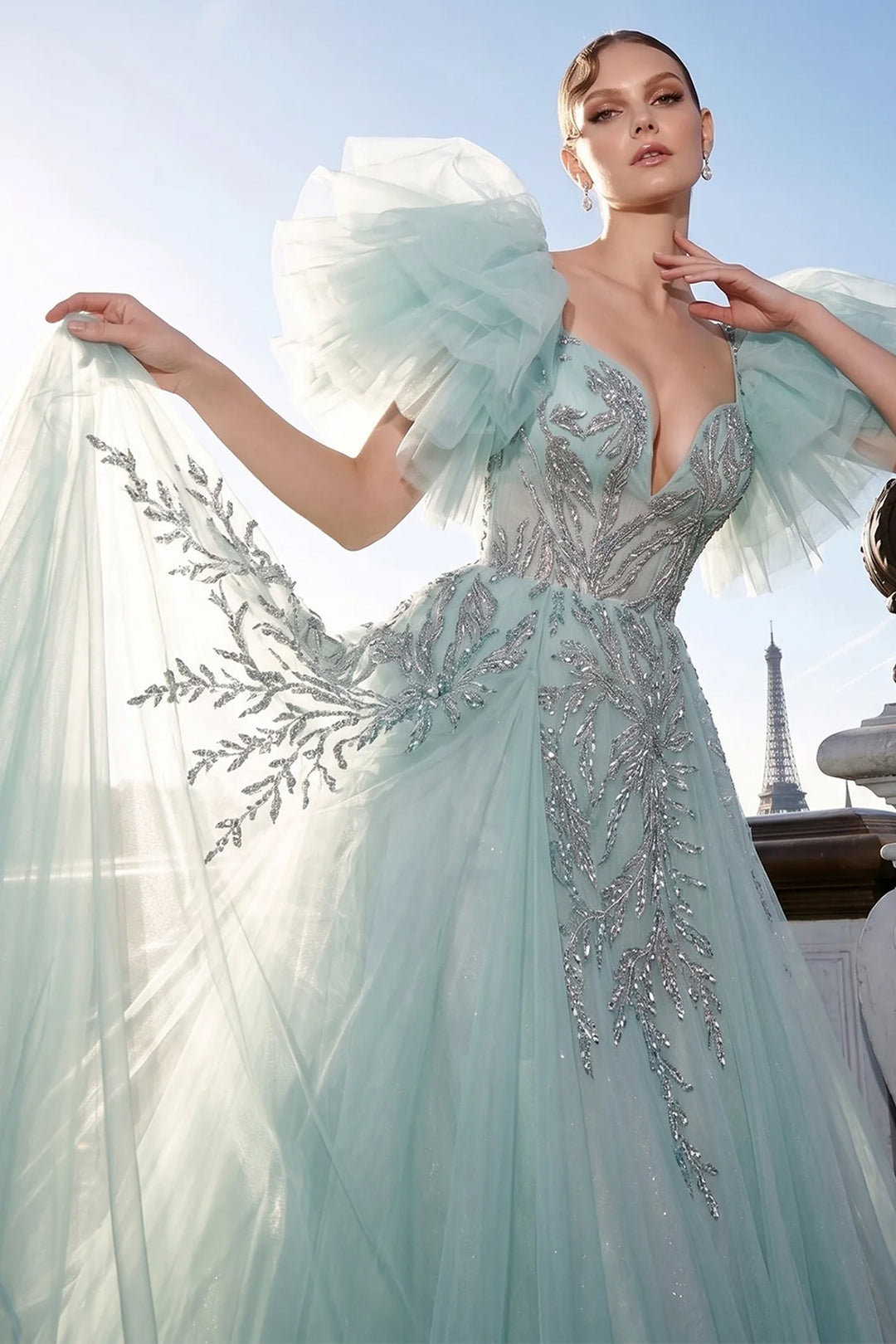 Plunging V-Neck Tulle with A-Line Long Dress