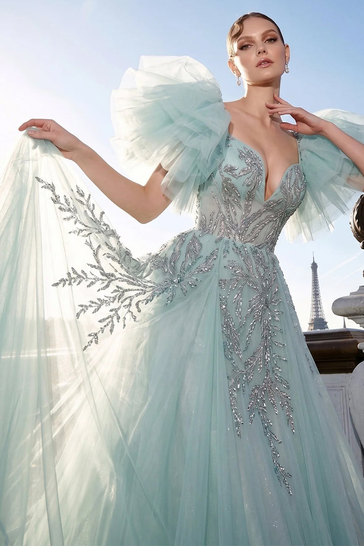 Plunging V-Neck Tulle with A-Line Long Dress