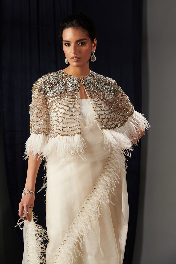 Mesh Dress with Embroidered Cape