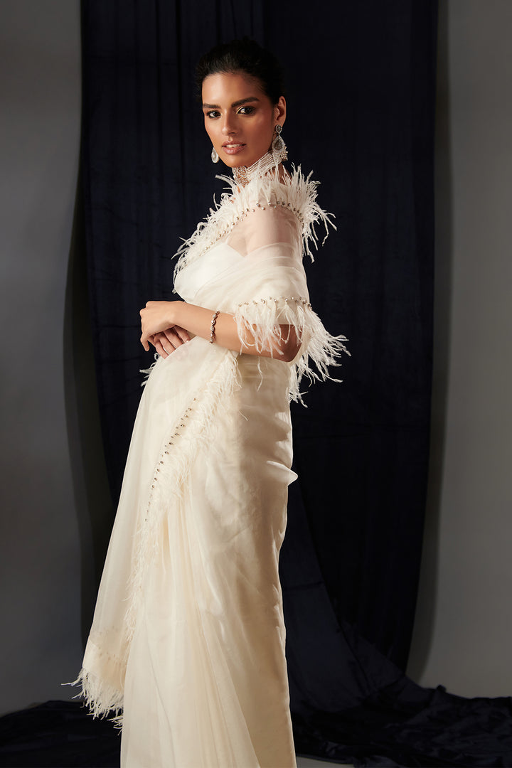 Organza Dress with Feather and Crystals