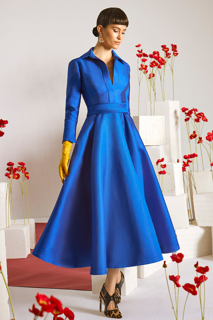 Structured Collared with A-Line Skirt Dress