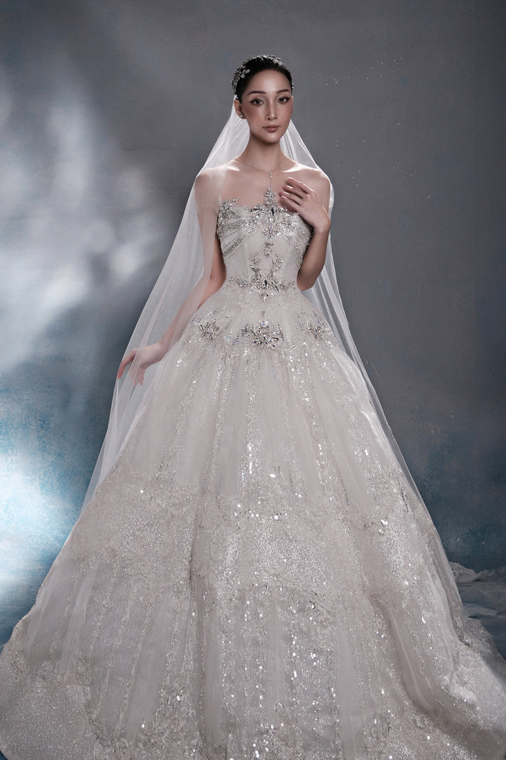 Radiant Crystal A-Line Dress with Veil