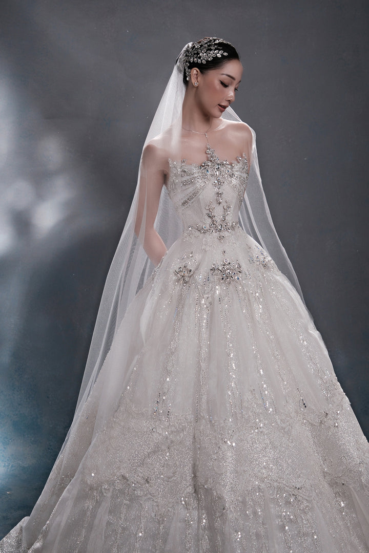 Radiant Crystal A-Line Dress with Veil