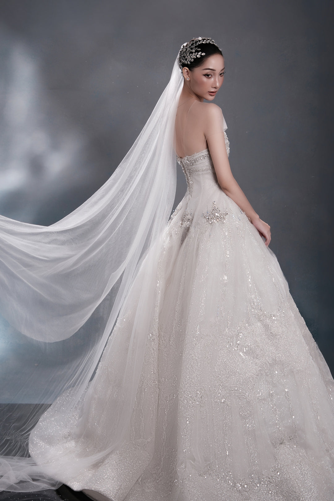 Radiant Crystal A-Line Dress with Veil