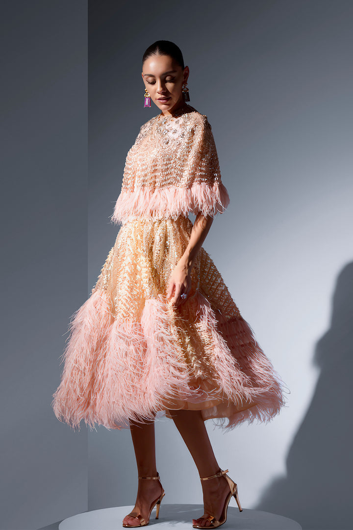 Tulle Cape and Skirt with Feather