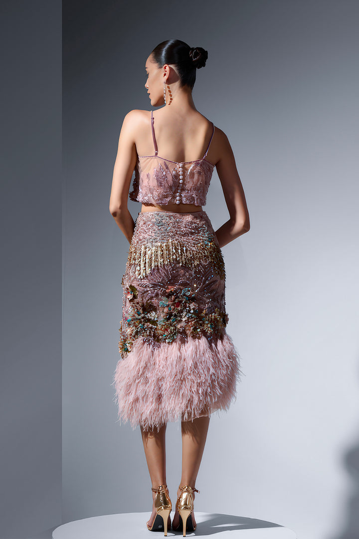 Embroidered Tulle Dress with Feather Hem