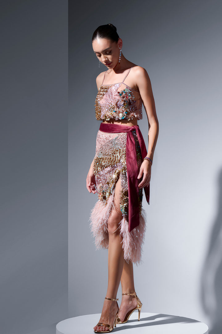 Embroidered Tulle Dress with Feather Hem