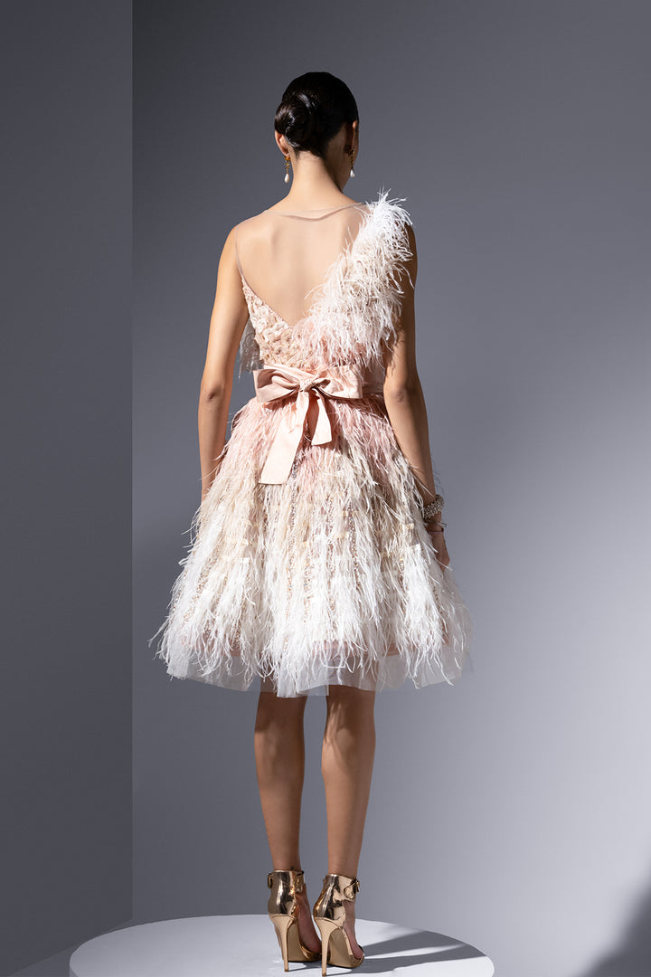 Feather And Embroidered Tulle Midi