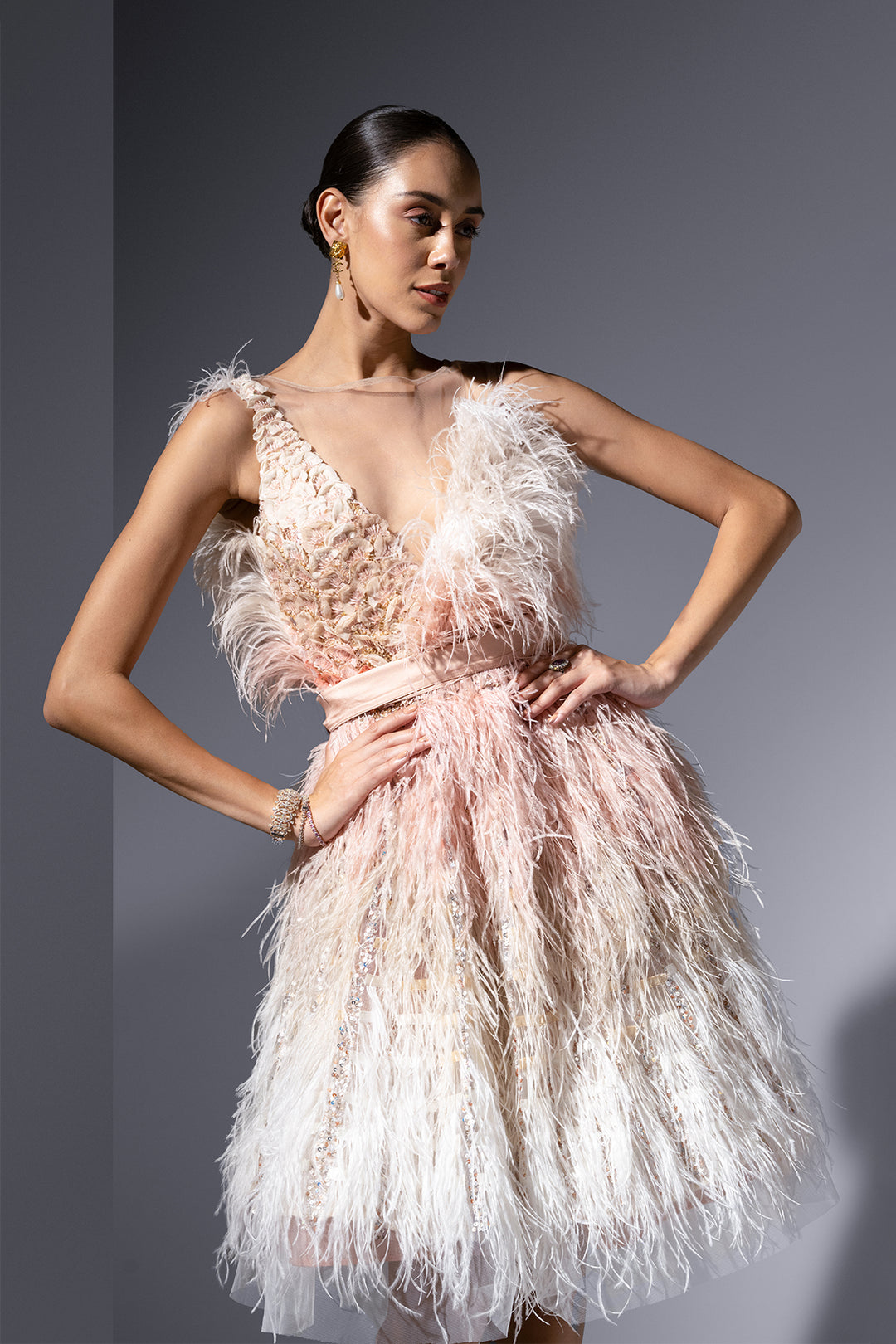 Feather And Embroidered Tulle Midi