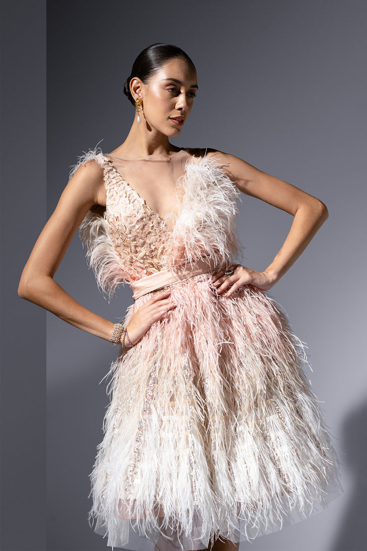 Feather And Embroidered Tulle Midi