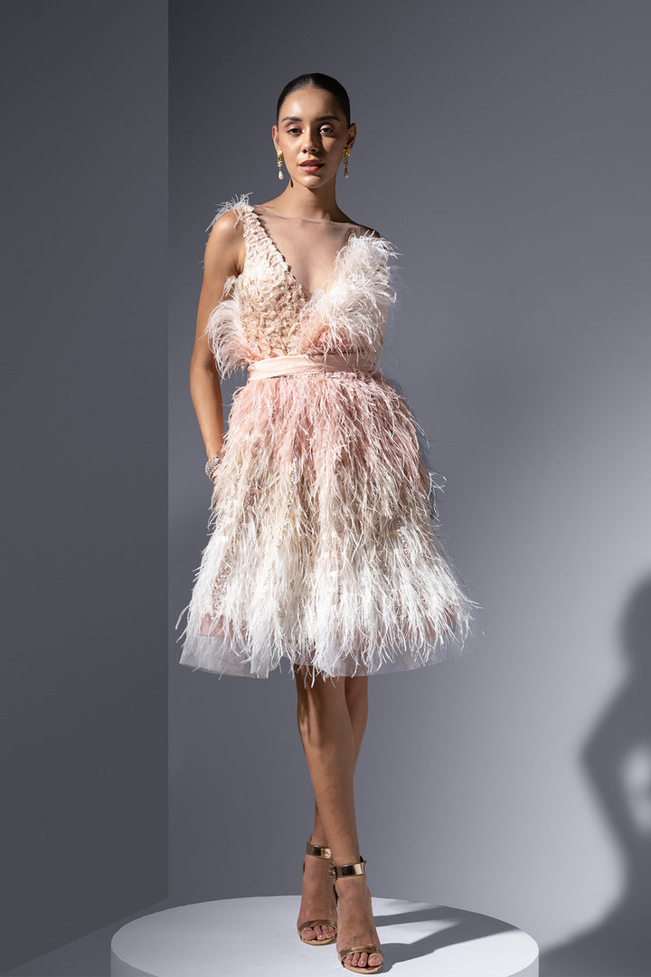 Feather And Embroidered Tulle Midi