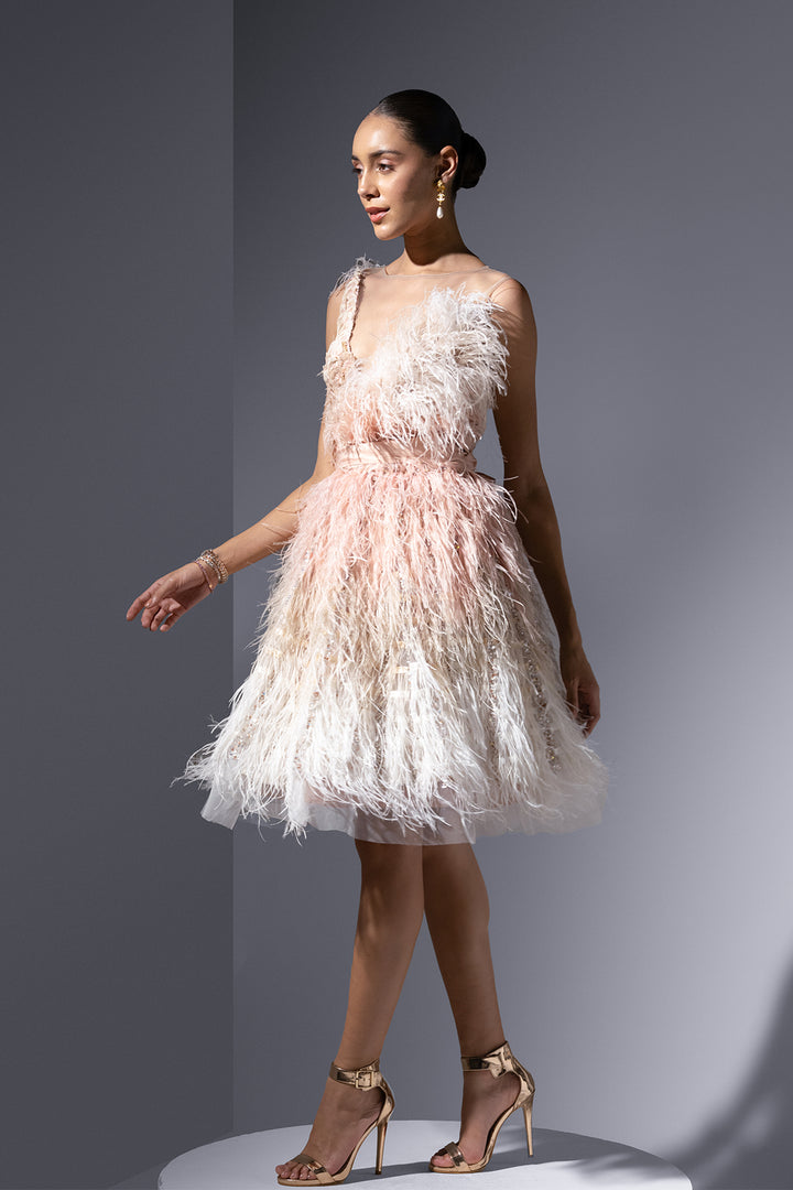 Feather And Embroidered Tulle Midi