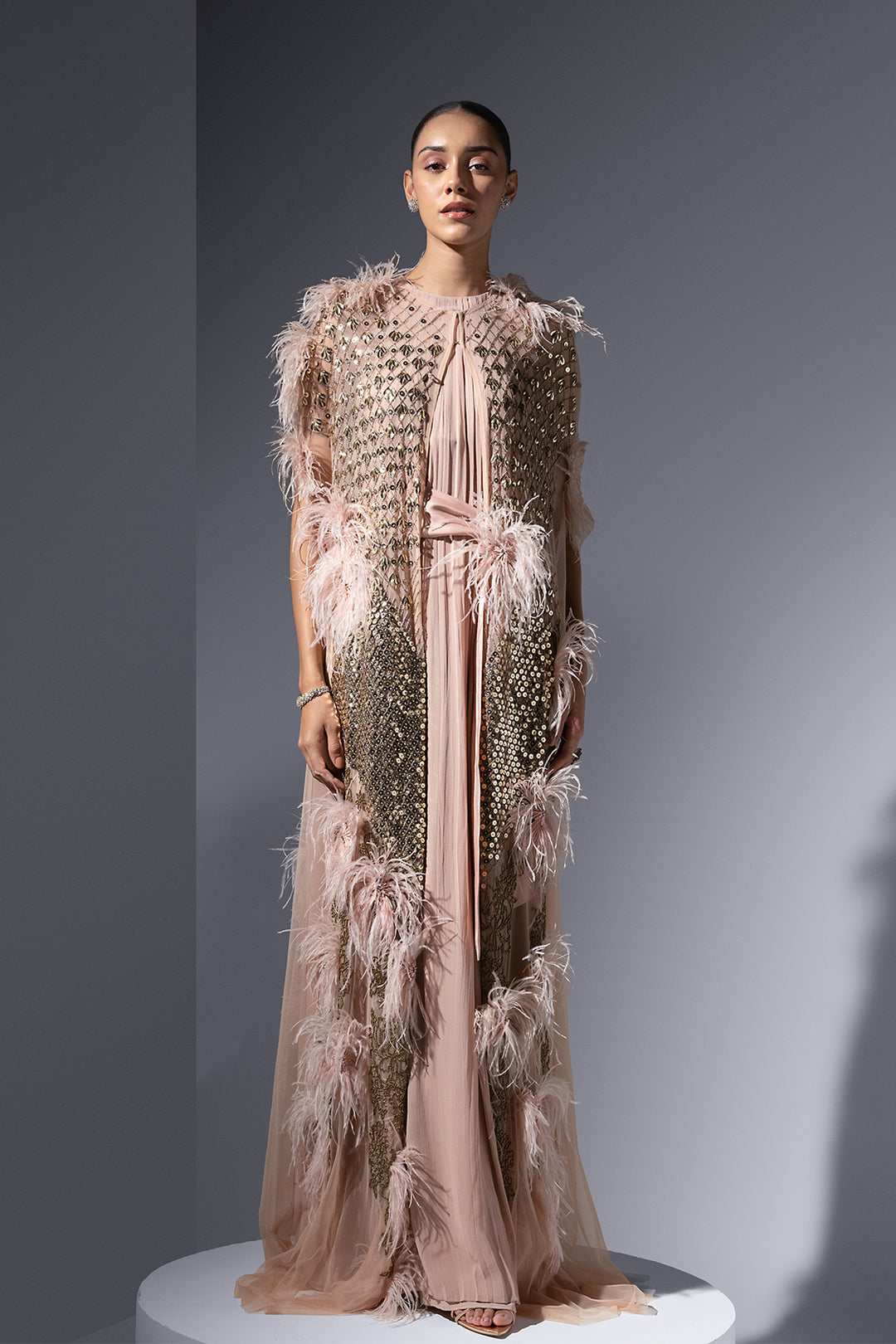 Mesh Cape And Chiffon Slip