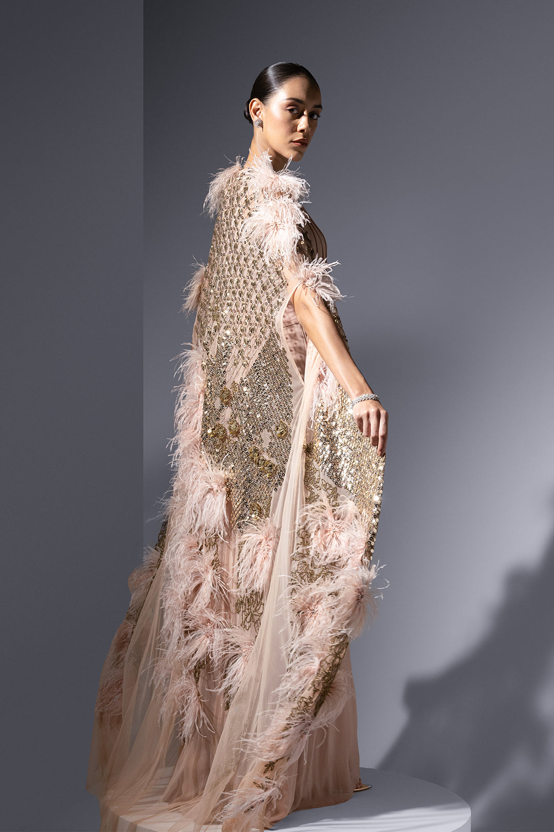 Mesh Cape And Chiffon Slip