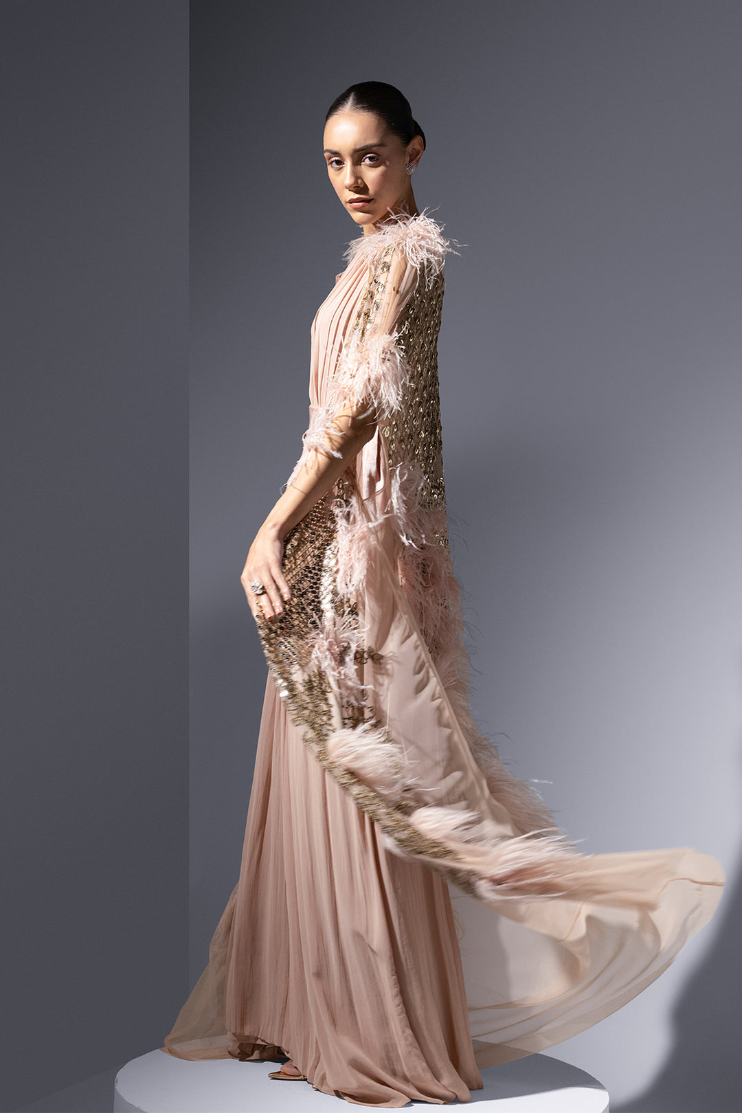 Mesh Cape And Chiffon Slip