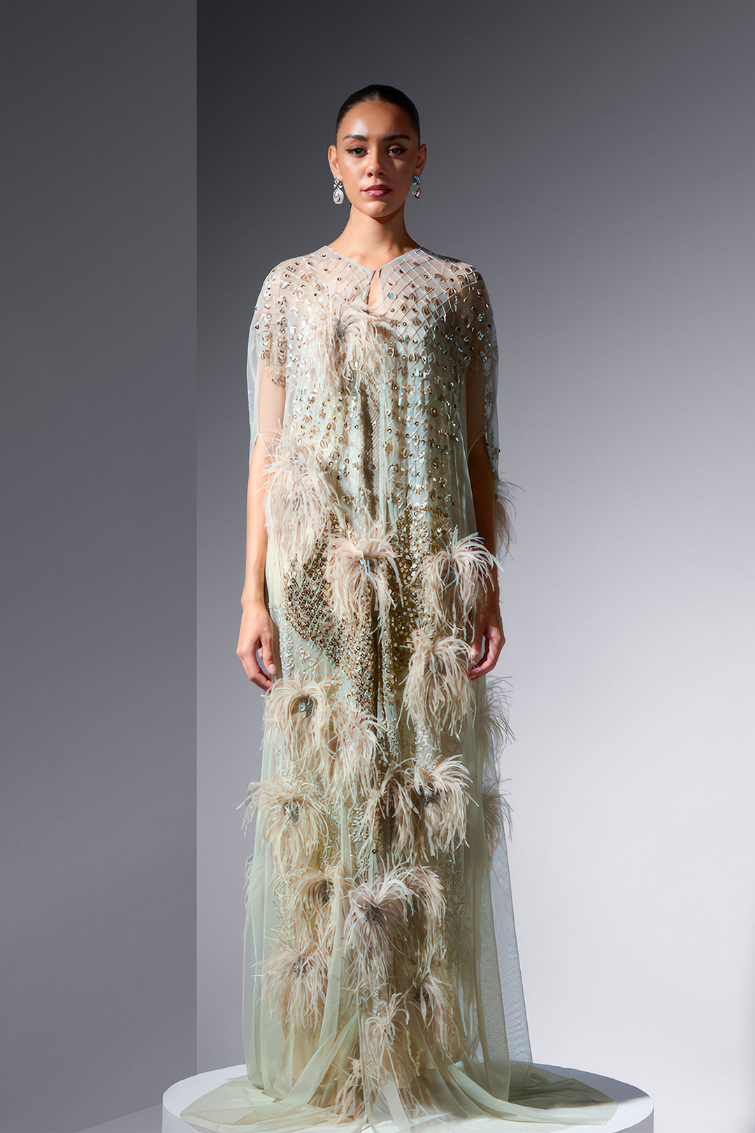 Embroidered Cape and Feathers