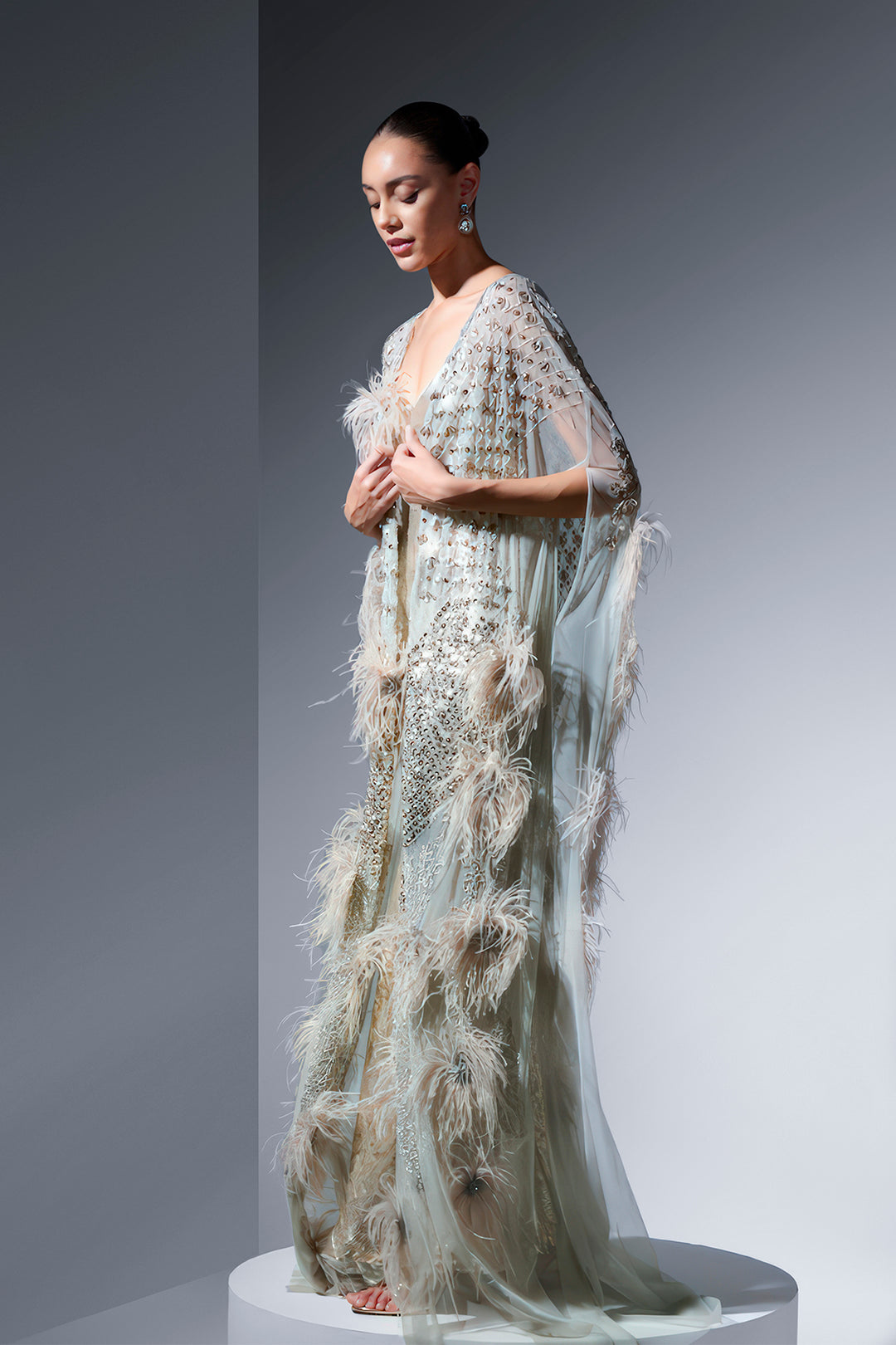 Embroidered Cape and Feathers