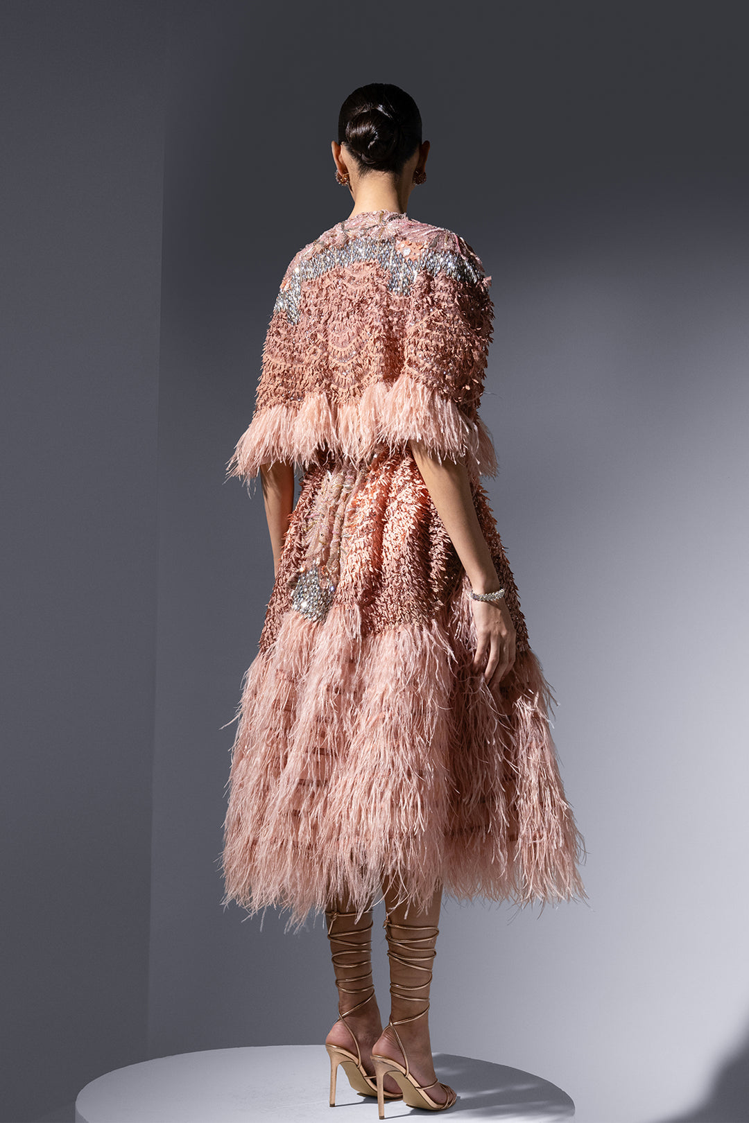 Tulle Cape and Lace Corset