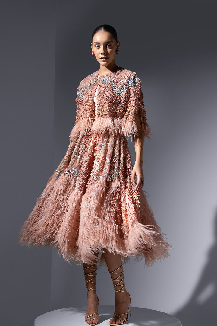 Tulle Cape and Lace Corset