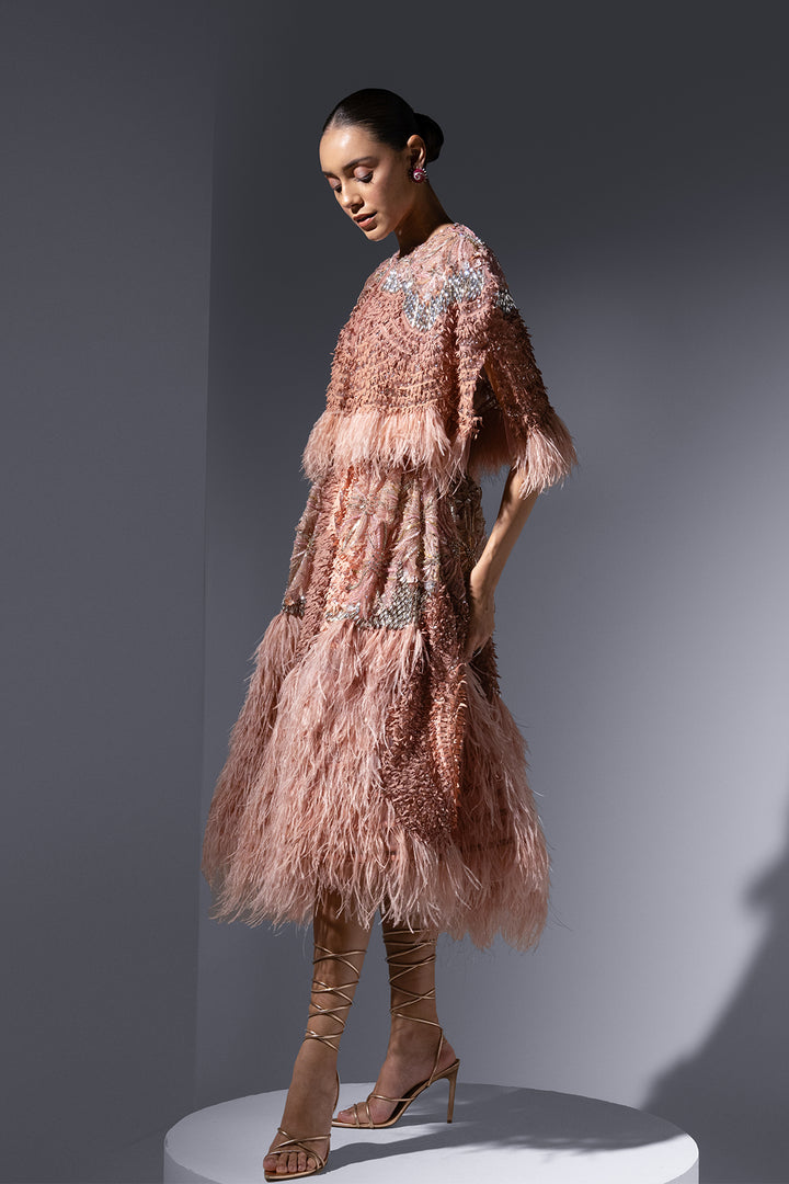 Tulle Cape and Lace Corset