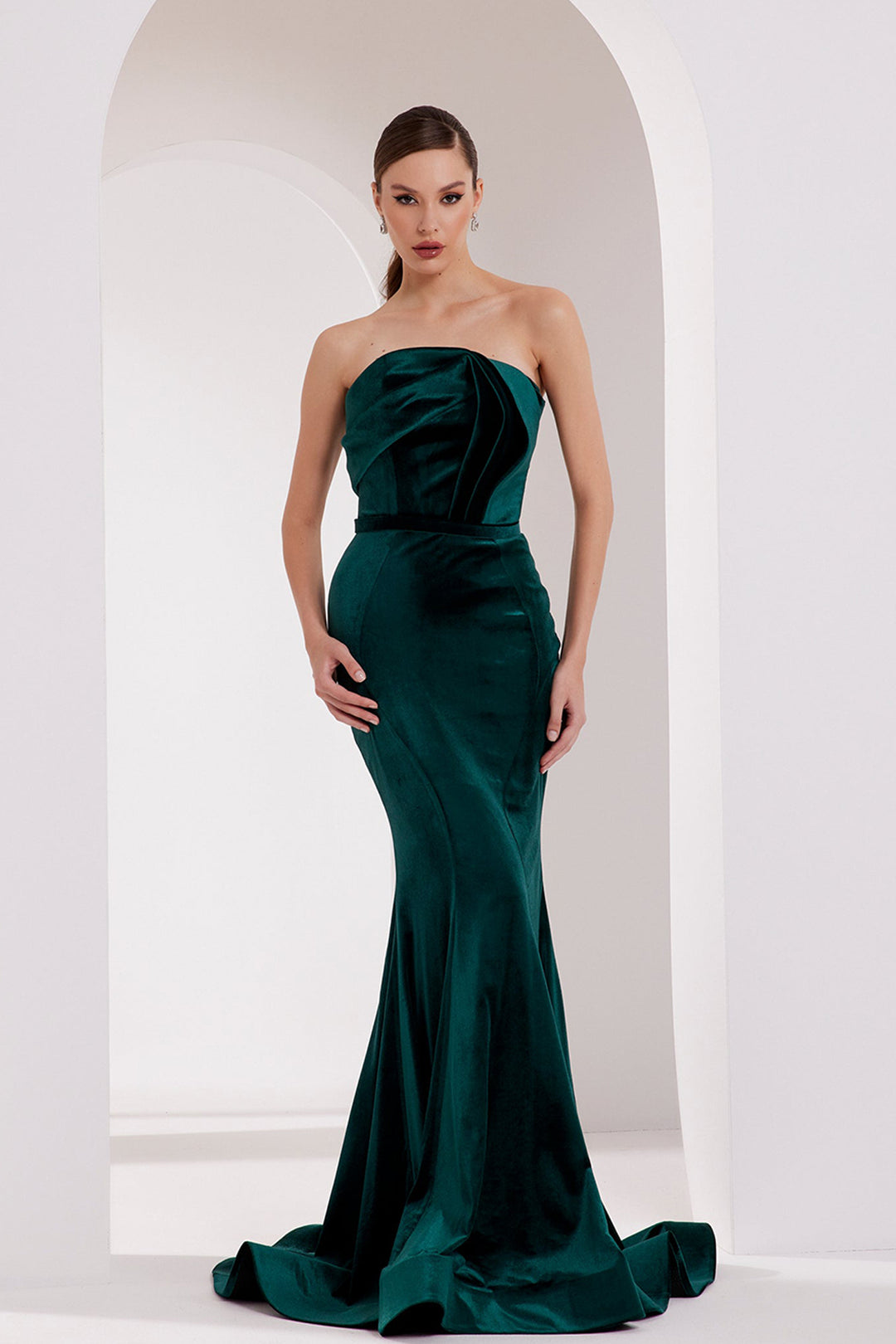 Velvet Dress with Mermaid Silhouette
