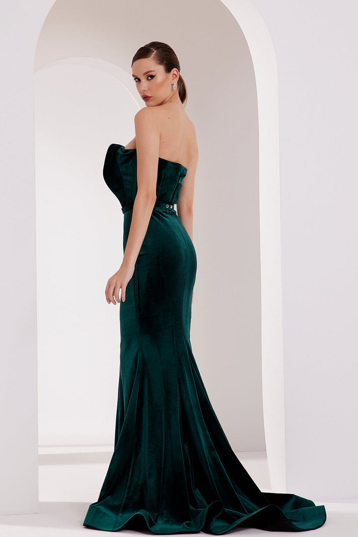 Velvet Dress with Mermaid Silhouette