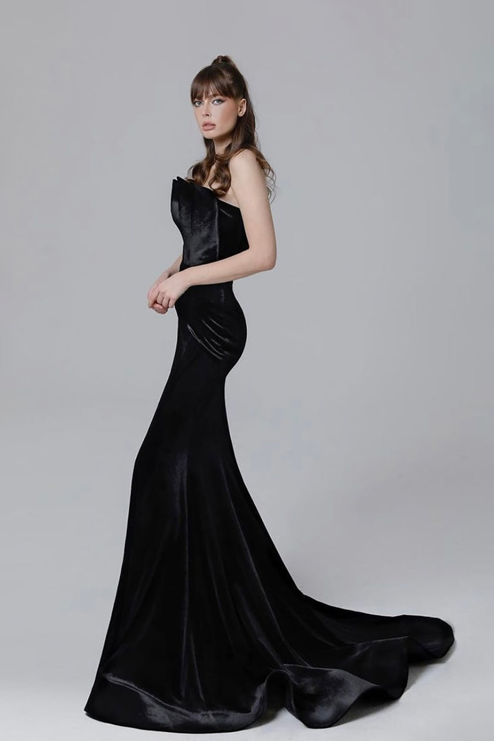 Velvet Dress with Mermaid Silhouette