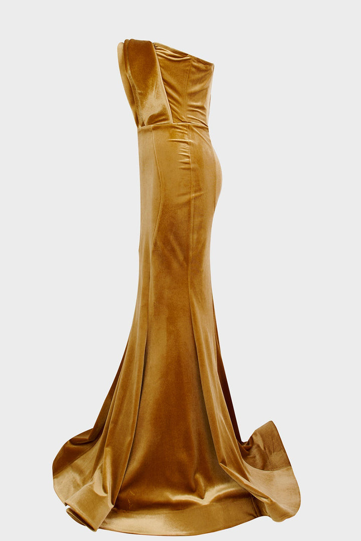 Velvet Dress with Mermaid Silhouette