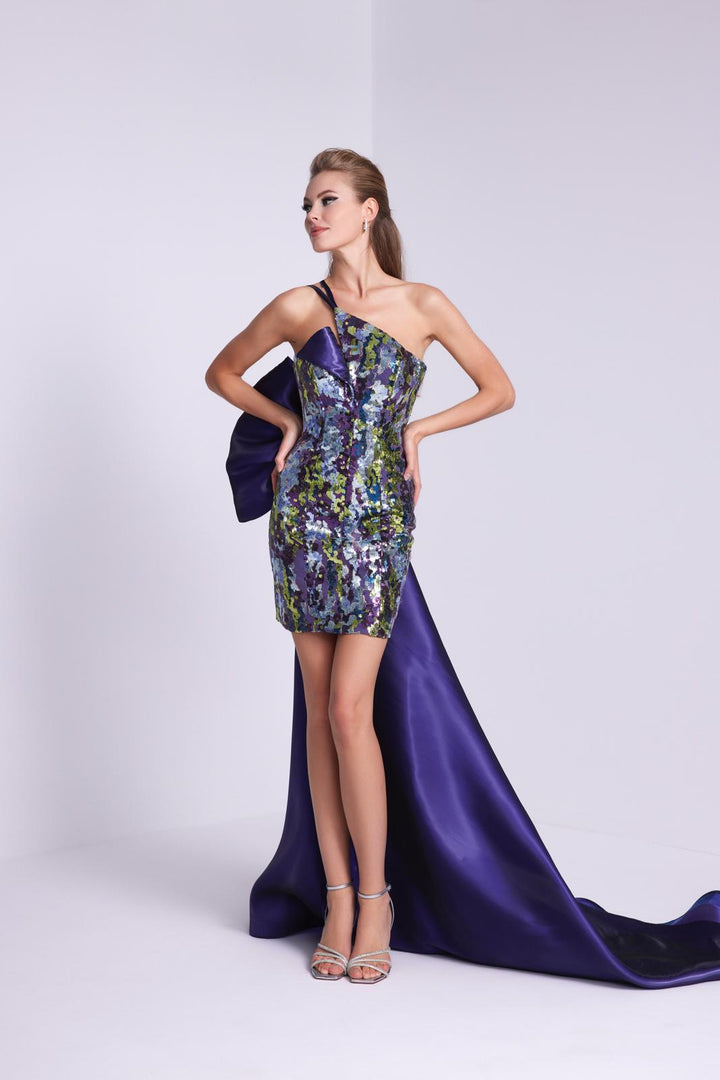 Payet And Metallic Organza Embroidered