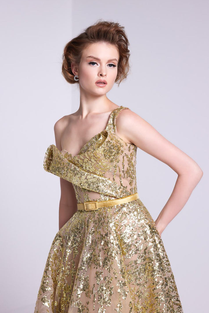 Payet Dress Asymmetrical Embroidered