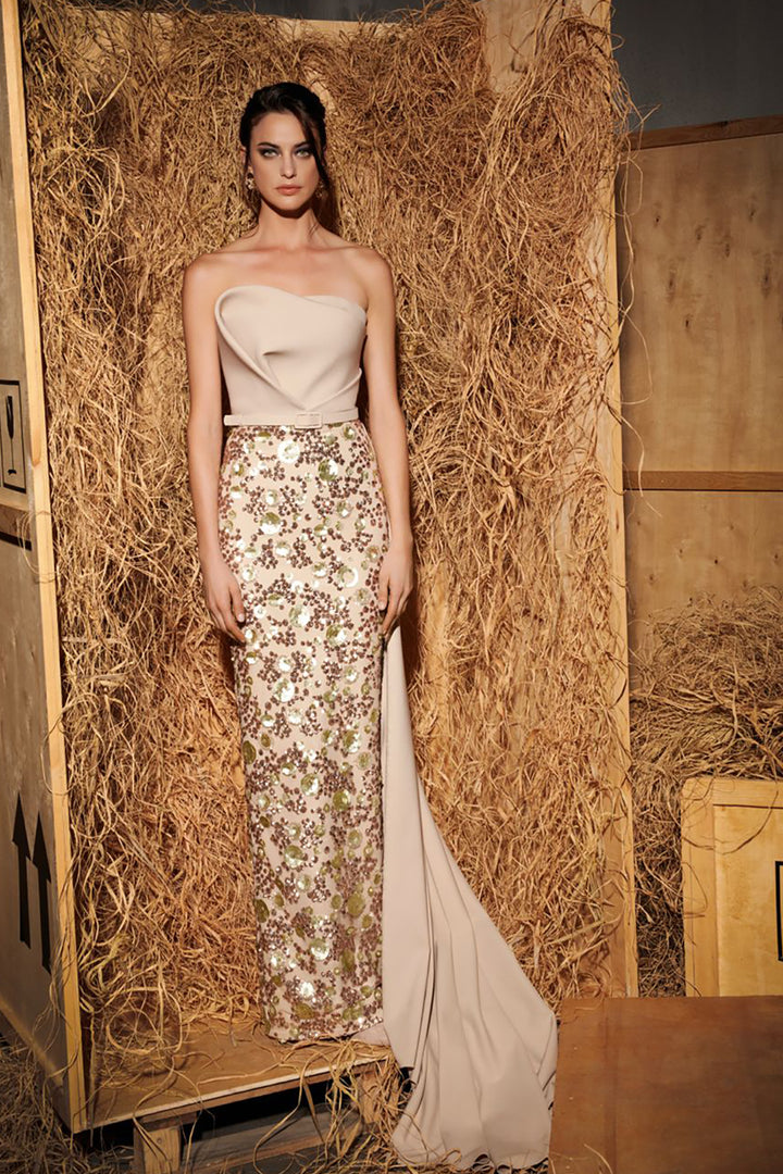 Two-Tier Skirt Overlay With Column Dress