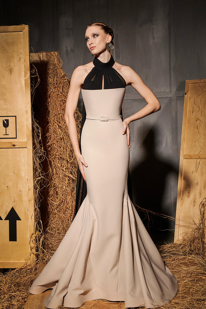 Mermaid Train with Oversized Sleeve