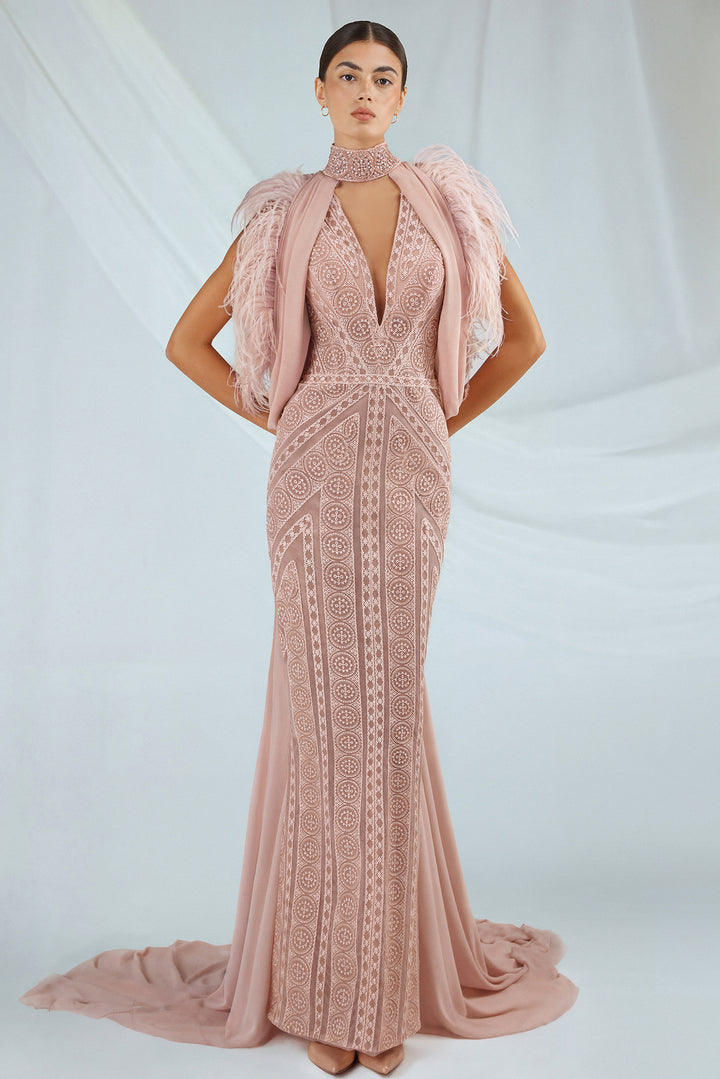 Powder Pink Elegance Embroidered Tulle dress