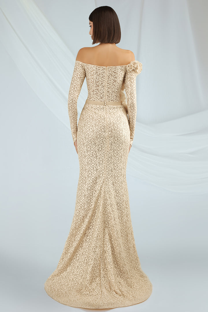 Off-the-Shoulder Lace Mermaid Dress