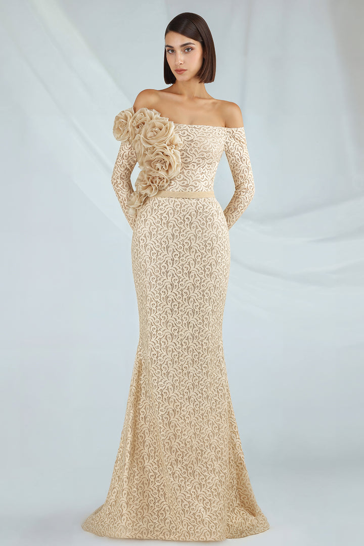 Off-the-Shoulder Lace Mermaid Dress
