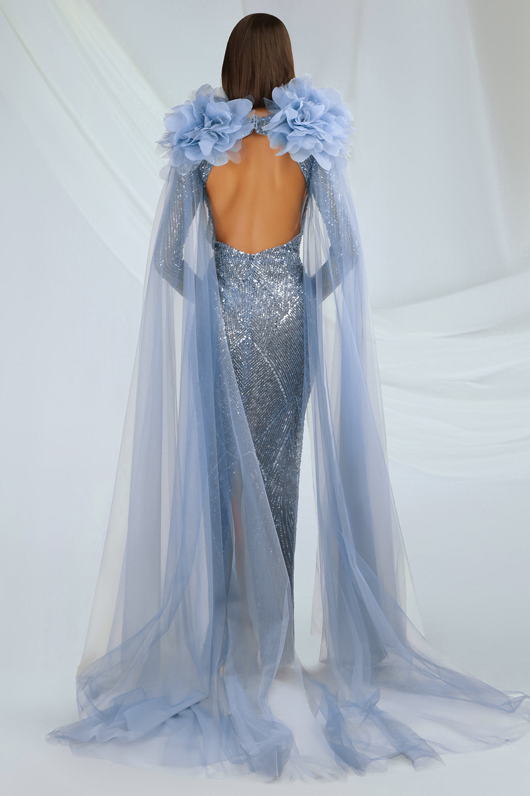 Embroidered Tulle Dress with Cape