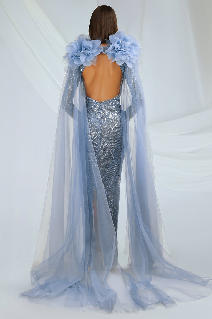 Embroidered Tulle Dress with Cape