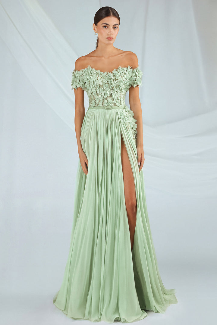 Chiffon & Tulle Off-Shoulder Gown