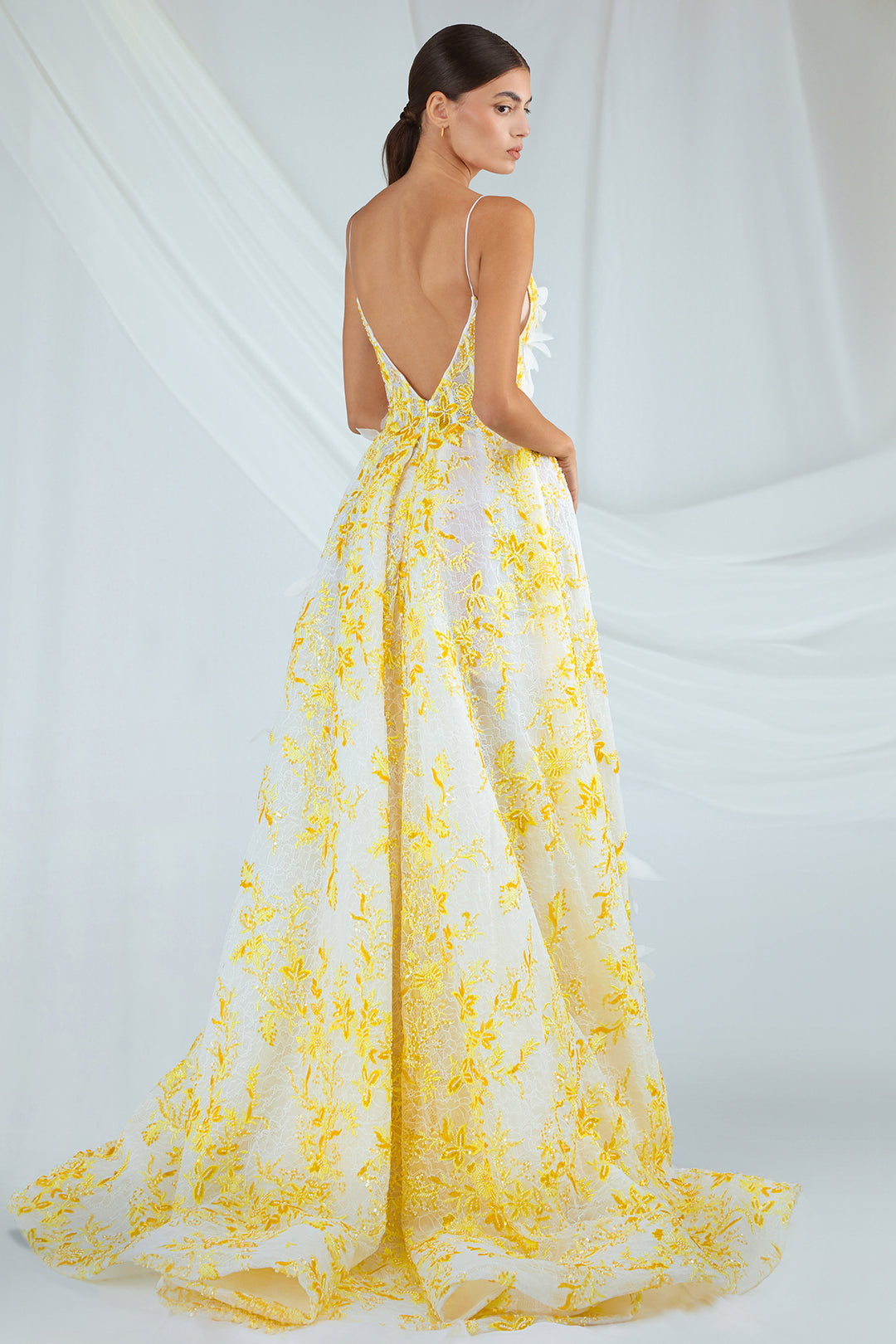 Lace Dress with Appliques and Full Skirt