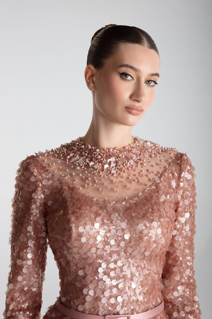 Embroidered Sequins Column Gown