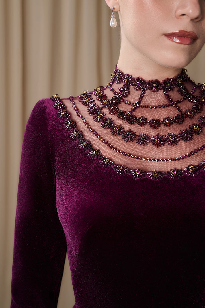 Embroidered Illusion Neckline Velvet Gown