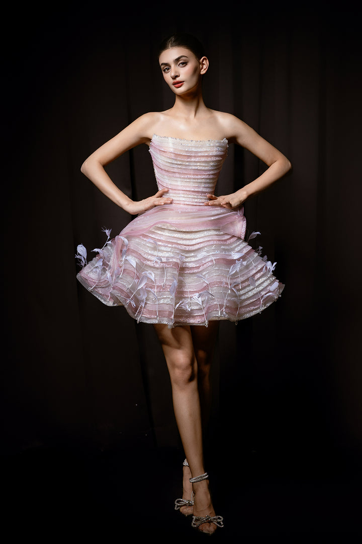 Sweetheart Corseted Short Tutu Dress