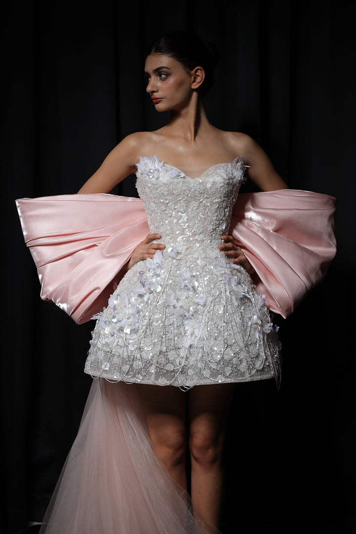 A-Line Mini with Embellished Skirt