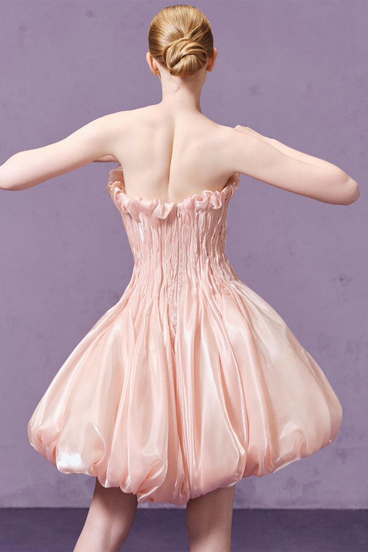 3D Draped with Chiffon and A-Line Mini Dress