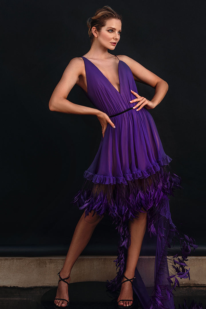 Silk Chiffon Mini Dress with Ruffled Feathers