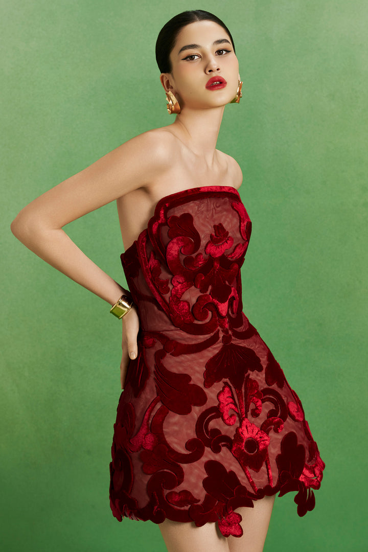 Velvet Shadows Dress