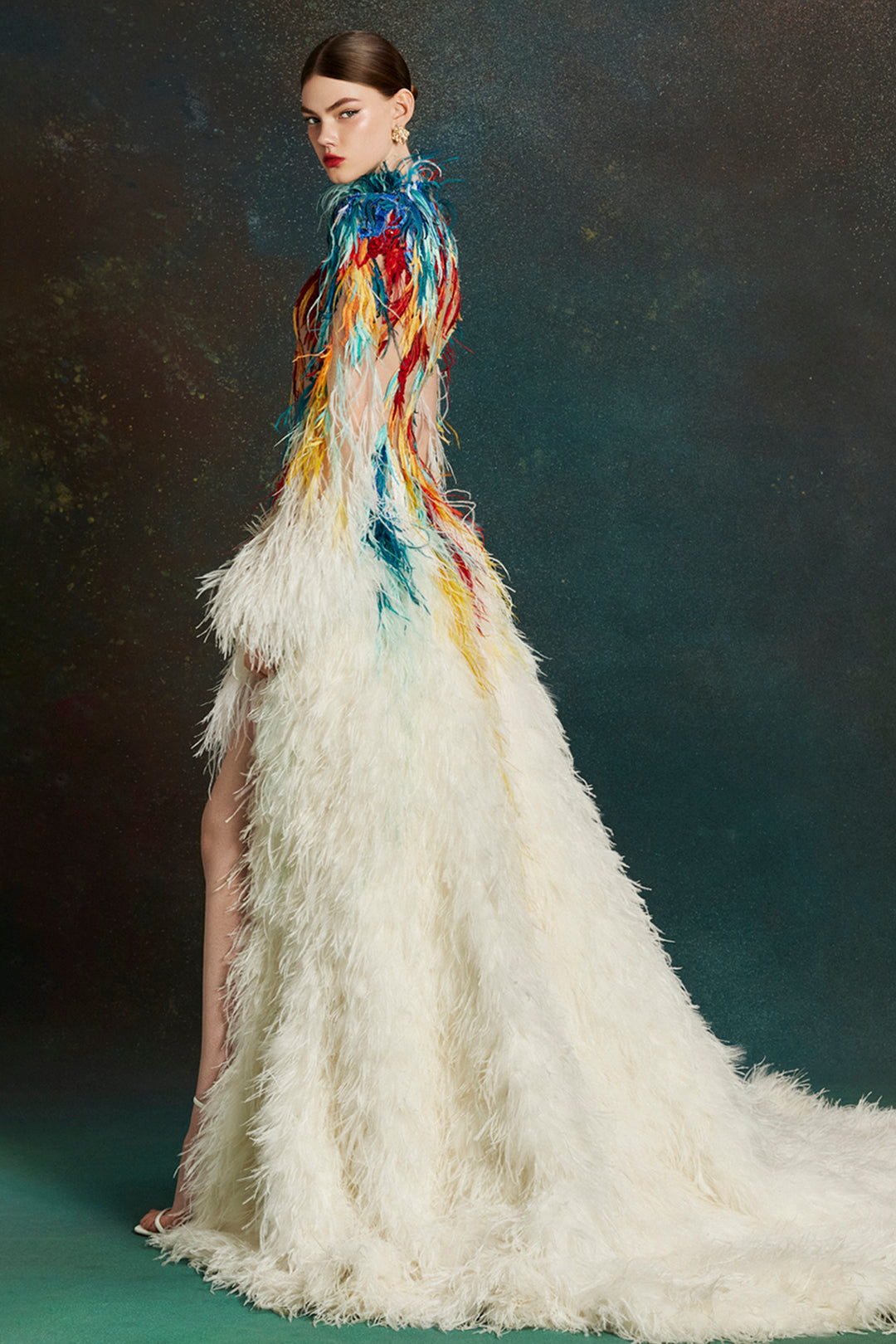 Painted Plume with A-line Dress