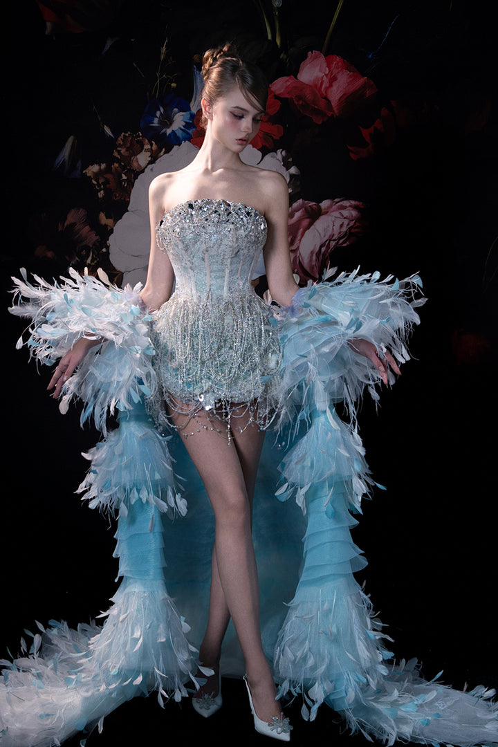 Sculpted Top with Feather Cape