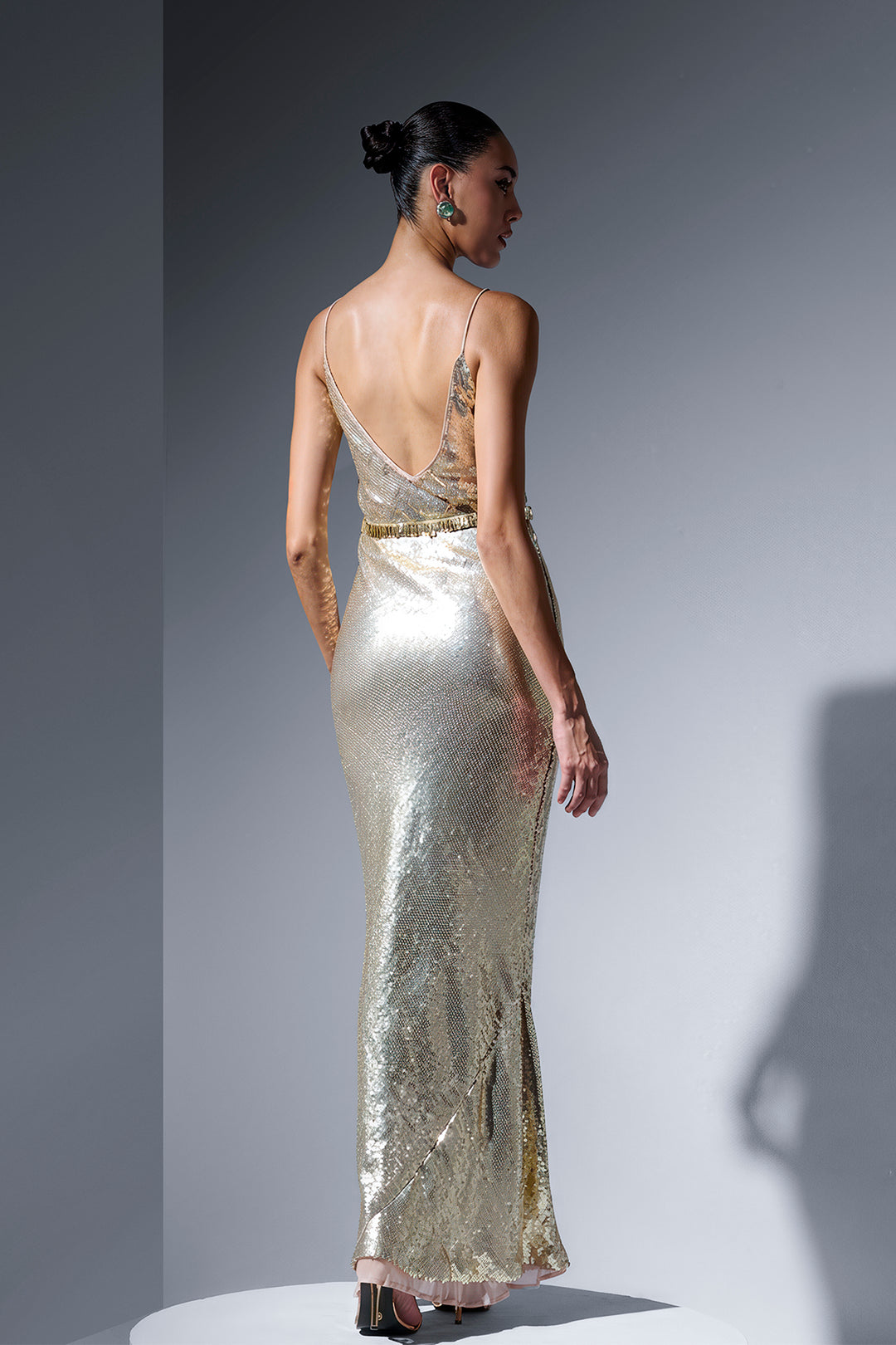 Embroidered Cape and Feathers