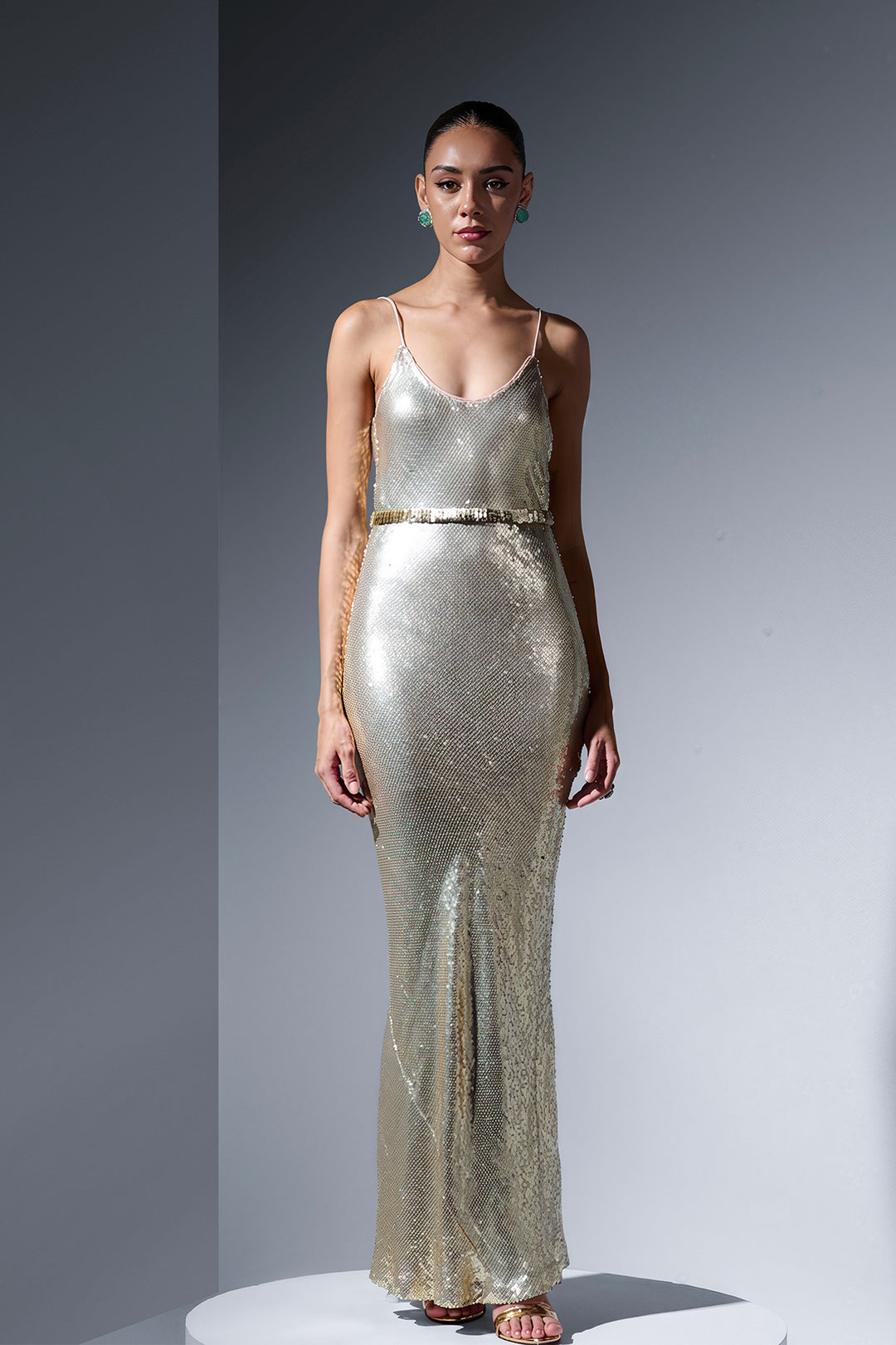 Embroidered Cape and Feathers